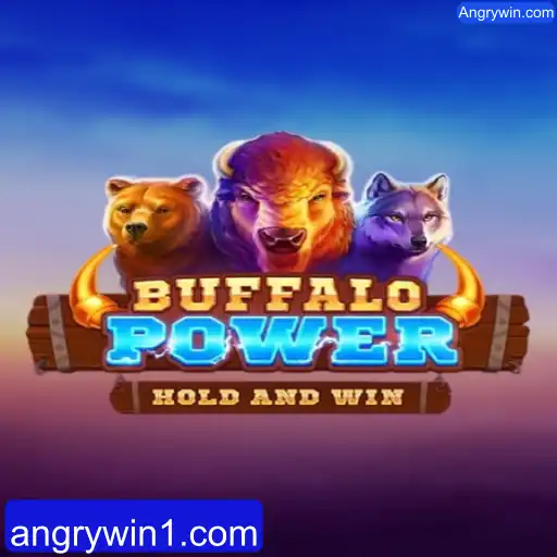 Descubra o Mundo de BuffaloPower no Angrywin.com